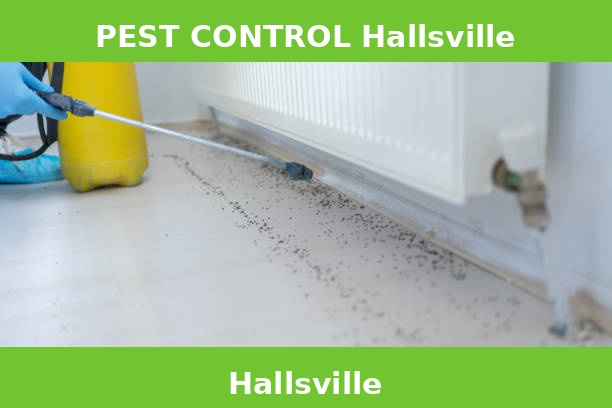 PEST CONTROL Hallsville